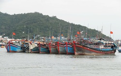 Ứng phó bão số 15, Khánh Hòa cấm biển từ 7 giờ ngày 28/11
