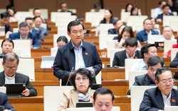 Đề xuất cấm tuyệt đối bóng cười dùng cho mục đích giải trí và các chất hướng thần mới