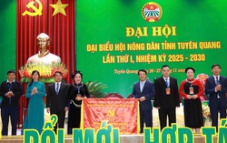 Bà Chu Thị Ngọc Diệp giữ chức Chủ tịch Hội Nông dân tỉnh Tuyên Quang