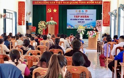 Tăng cường kỹ năng số và nghiệp vụ ủy thác vốn cho cán bộ, hội viên cơ sở