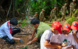 OMO  đồng hành cùng người Việt hoàn thành sứ mệnh trồng 1 triệu cây xanh