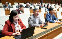 Nhìn từ các trận "đại hồng thủy": Quy hoạch phải gắn với quản trị rủi ro thiên tai