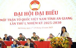 Bà Trần Thị Thanh Hương tái đắc cử Chủ tịch Ủy ban MTTQ Việt Nam tỉnh An Giang