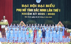 Infographic: Bà Nguyễn Phương Mai giữ chức Chủ tịch Hội LHPN tỉnh Bắc Ninh