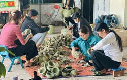 Hợp tác xã Lương Phú: Điểm tựa của phụ nữ yếu thế ở Mường Bi