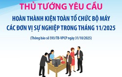 Hoàn thành kiện toàn tổ chức bộ máy các đơn vị sự nghiệp trong tháng 11