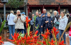 Phát triển giá trị cốt lõi của di sản văn hóa Đông - Tây trong bối cảnh số hóa