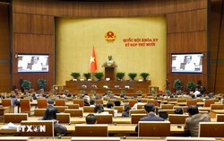 Hôm nay, Quốc hội thảo luận cơ chế tháo gỡ vướng mắc trong thi hành Luật Đất đai