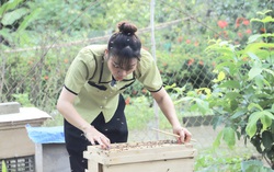 Hội LHPN tỉnh Vĩnh Long đẩy mạnh xây dựng hệ sinh thái khởi nghiệp bền vững cho phụ nữ