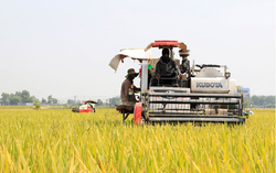 Nông nghiệp Hà Nội tăng trưởng ổn định, đóng góp tích cực vào kinh tế Thủ đô