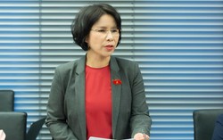 Đại biểu Quốc hội đề xuất thành lập "Quỹ phát triển năng lực và học tập quốc gia"