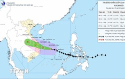 Bão số 13 di chuyển nhanh hơn, chỉ còn cách Quy Nhơn khoảng 450km