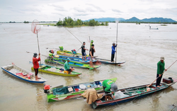 An Giang: Cống Tha La xả lũ, người dân đổ về bắt cá linh, niềm vui mùa nước nổi xen lẫn nỗi lo kích điện