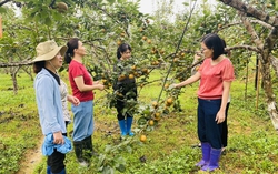 Dự án 8 tác động tích cực, thay đổi “nếp nghĩ, cách làm” của người dân