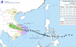 Đêm 6/11, bão số 13 đi vào đất liền từ Quảng Ngãi đến Đắk Lắk và suy yếu dần
