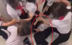 Báo động đỏ về bạo lực học đường, cần hành động mạnh mẽ và đồng bộ