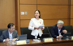 Đề xuất bổ sung quy định về quy hoạch không gian xanh và thích ứng biến đổi khí hậu 