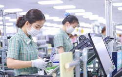 Góp ý Dự thảo văn kiện Đại hội Đảng XIV: Gỡ các ràng buộc, tạo động lực phát triển cho doanh nghiệp