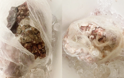 Phụ huynh Hà Nội lại phát hiện thực phẩm có dấu hiệu nghi "ôi thiu" trong bếp ăn trường học