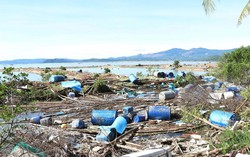 Ước tính thiệt hại ban đầu do ảnh hưởng bão số 13 là 7.050 tỷ đồng