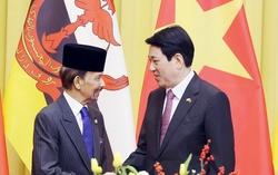 Tăng cường hiệu quả quan hệ Đối tác toàn diện Việt Nam-Brunei
