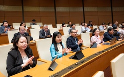 Quốc hội "chốt" mức thuế suất thu nhập cá nhân cao nhất là 35%