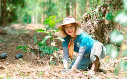 Nữ giám đốc và hành trình gieo mầm xanh, lan tỏa tình yêu thiên nhiên