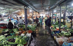 Hà Nội: Giá rau xanh giảm sâu sau bão lũ, riêng cà chua và ớt vẫn tăng mạnh