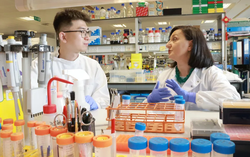 Nuôi cấy răng người trong phòng thí nghiệm