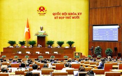 Luật Chuyển đổi số: Khuôn khổ pháp lý đầu tiên về quản trị không gian số