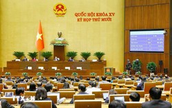 Thông qua Nghị quyết về tháo gỡ khó khăn, vướng mắc trong thi hành Luật Đất đai