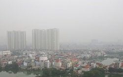 Dinh dưỡng đúng, miễn dịch khỏe bảo vệ con trước bụi mịn