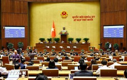 Đại biểu Quốc hội: Kỳ họp thứ 10, Quốc hội khóa XV là kỳ họp đặc biệt