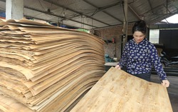 4 nhóm thông tin cần thiết cho "hành trang" thoát nghèo bền vững