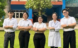 Sản phẩm hữu ích cho sức khỏe từ cây húng lủi