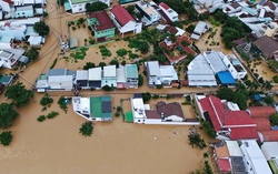 Nhật Bản và Brazil hỗ trợ Việt Nam khắc phục hậu quả bão lũ