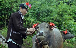 Lễ cúng hồn trâu của người Lự - nghi lễ tri ân và gìn giữ bản sắc