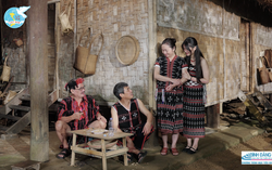 Ngôi nhà không tiếng quát