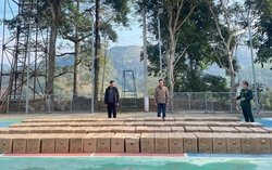 Bắt giữ trên 34.200 quả trứng nhập lậu từ Trung Quốc