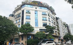 Truy tố Chủ tịch Công ty Mỹ Hạnh lừa đảo góp vốn dự án trồng cây Sâm Ngọc Linh