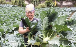 Thái Nguyên: Hội LHPN xã Dân Tiến đồng hành xóa “nghèo thông tin” khơi thông nguồn vốn ưu đãi