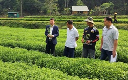 Tận dụng nguồn lực để giảm nghèo bền vững ở Cao Bằng