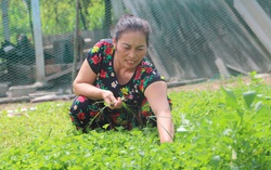 Nhiều mô hình hay trong giảm nghèo bền vững ở xã ven biển Cà Mau