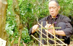 Giữ hồn rừng bằng lễ "cấm bản" của người Lự