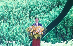 Festival Hương sắc danh trà: Cảm nhận chiều sâu văn hóa trong từng chén trà