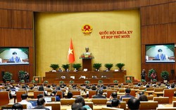 Quốc hội thảo luận cơ chế chính sách đặc thù cho Đà Nẵng và TPHCM