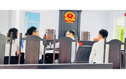 Tòa xác nhận cha con nhưng không đồng ý cho người cha nuôi con