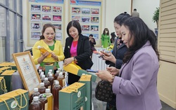 Phú Thọ hỗ trợ phụ nữ giảm nghèo, thúc đẩy bình đẳng giới