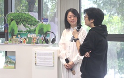 Vẻ đẹp của tình bạn qua sách tranh thiếu nhi