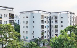 Nhà ở xã hội từ "điểm nghẽn" thành điểm sáng của thị trường